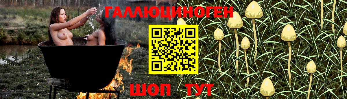 Галлюциногенные грибы мухоморы Тайшет