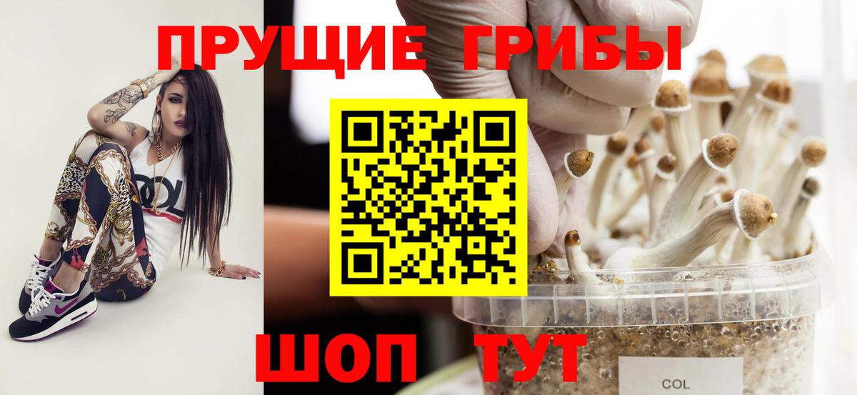 Тайшет  как найти закладки  Вход с VPN  Галлюциногенные грибы MAGIC MUSHROOMS 