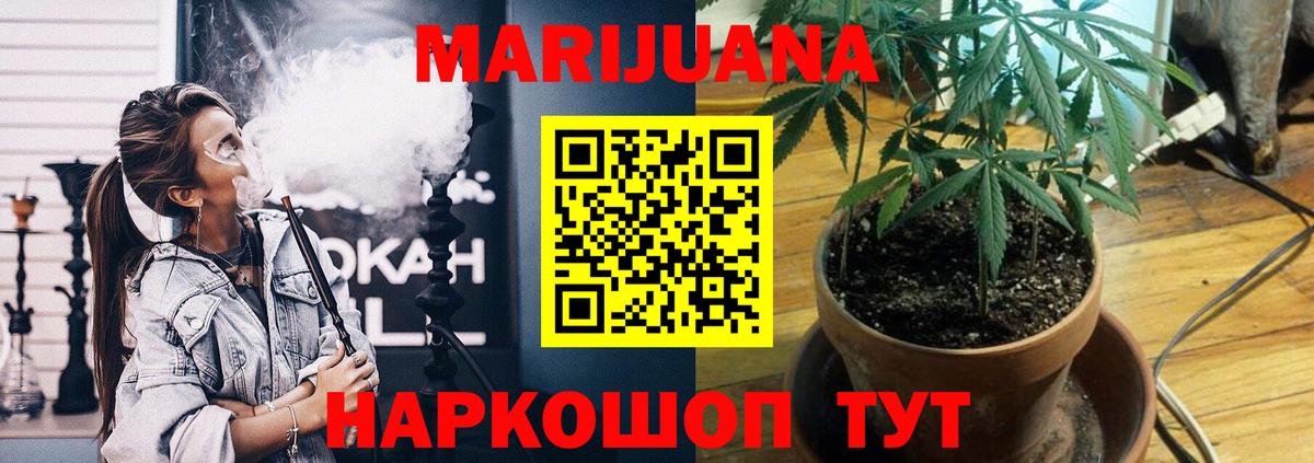 Тайшет  Марихуана сатива  Бошки Шишки план  Шишки марихуана семена  Конопля планчик  Вход с VPN 